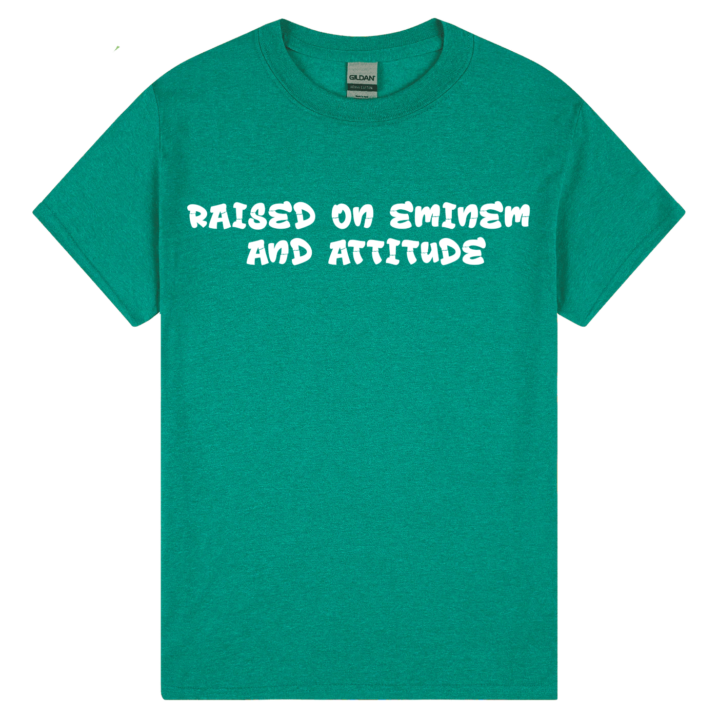 Raised on Eminem and Attitude - Image 6
